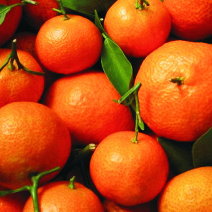 Mandarina -Andalusia-