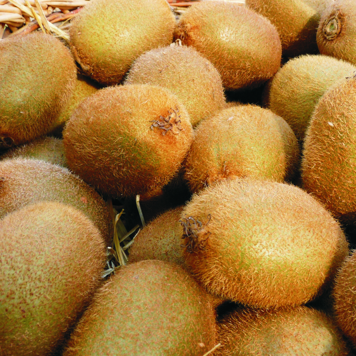 Kiwi GOLD -Nova Zelanda-
