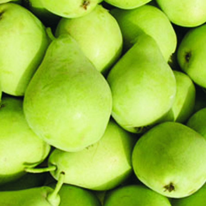 Pera BLANQUILLA -Lleida-