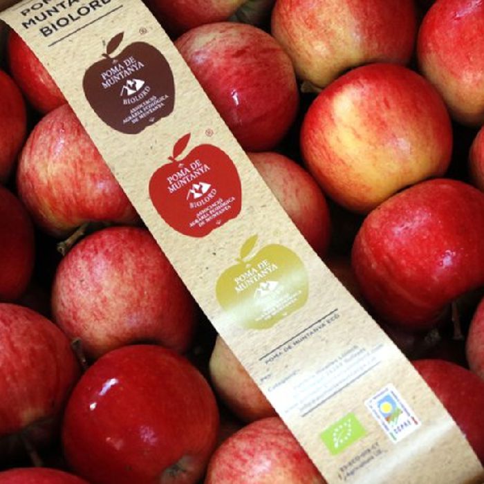 Poma muntanya GALA -Vall de Lord-