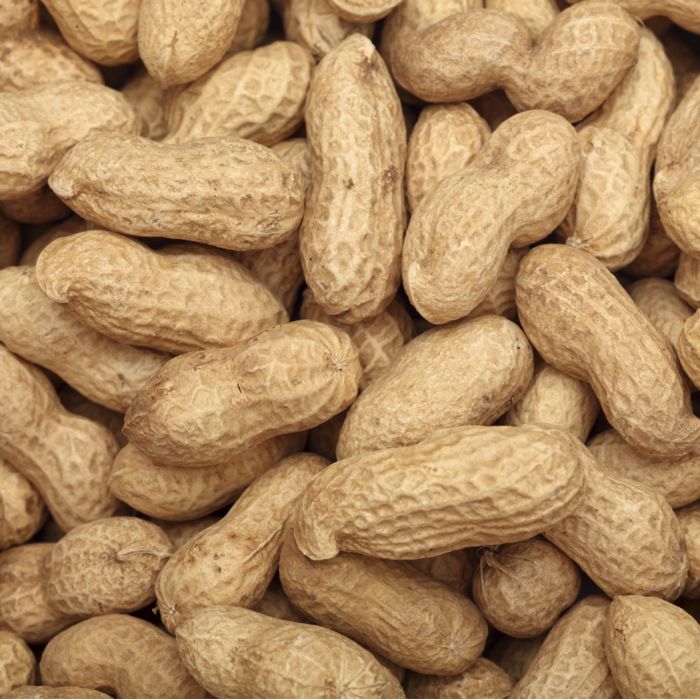 Cacauet torrat CLOSCA 500g ECO