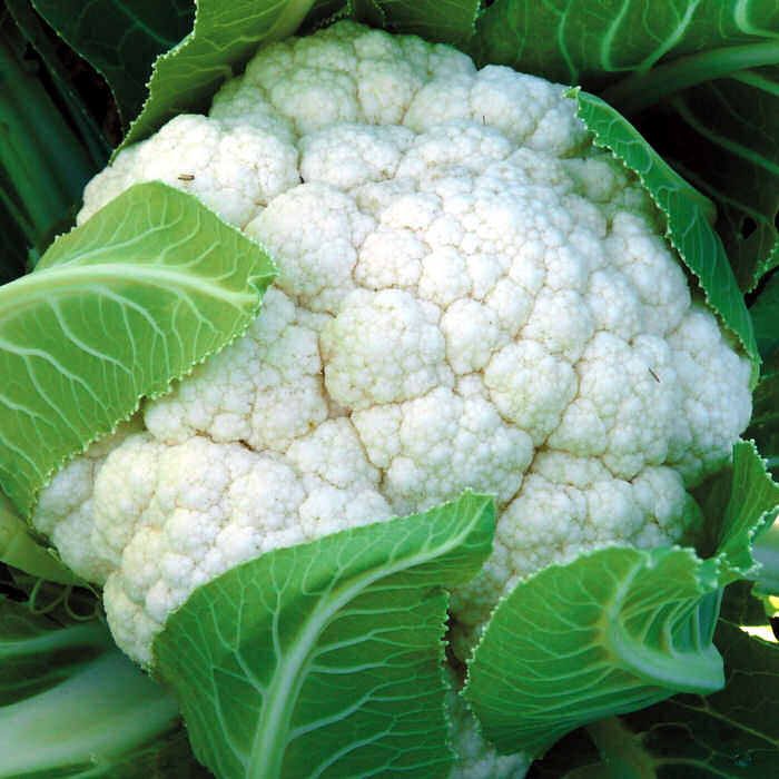 Coliflor (kg)