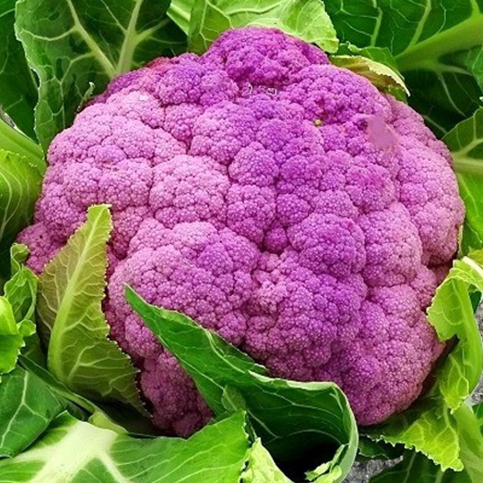 Coliflor morada (kg)